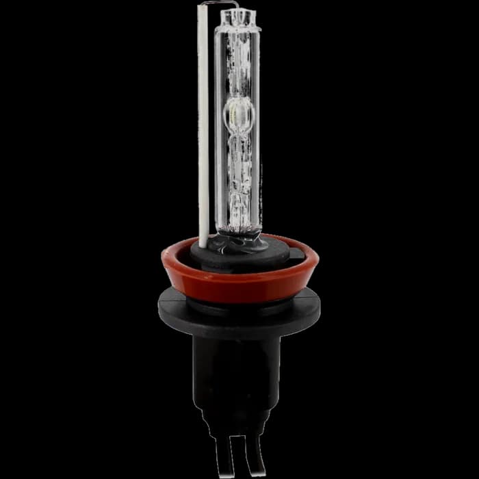 Bec Xenon H8-6000K - CARGUARD