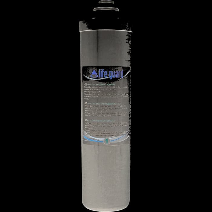 Filtru de rezerva - Post Activated Carbon filter