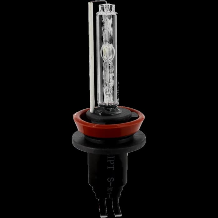 Bec Xenon H11-6K - CARGUARD