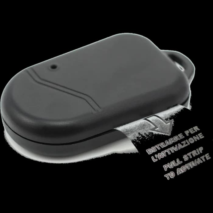 Transponder - CARGUARD